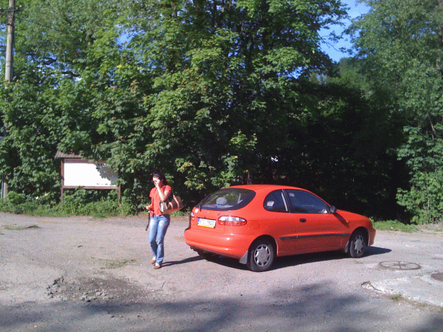 IMG_0381.gif