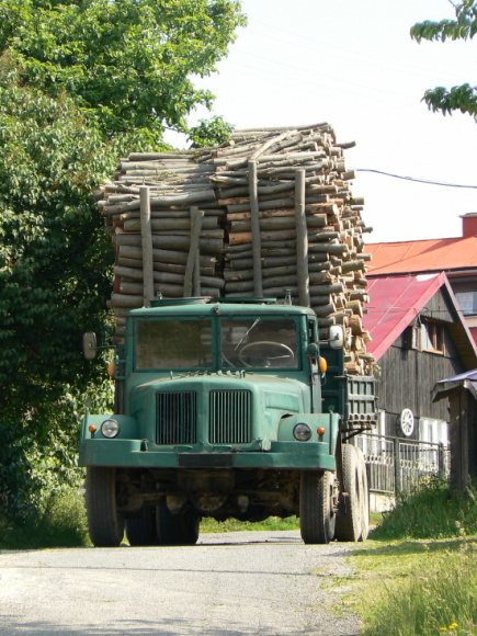 P1030979.JPG