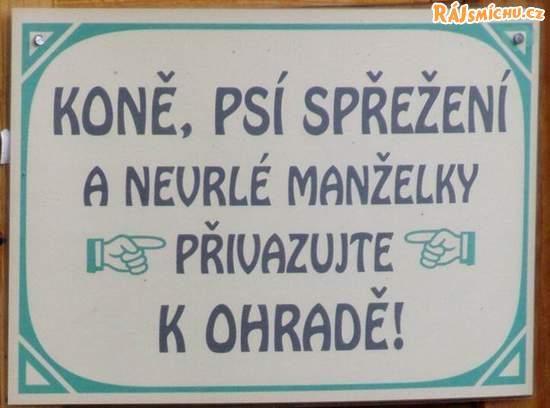 cedulka4.jpg