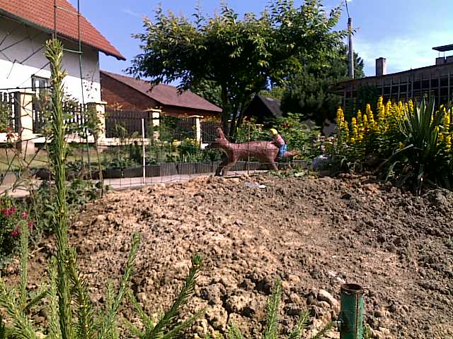 Liška.jpg