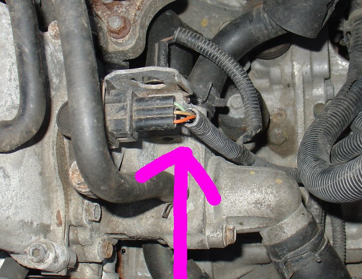 motor3.JPG