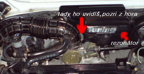 DSC00561.jpg