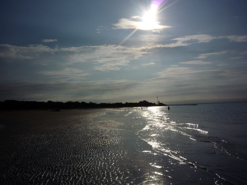 P1010726_resize.JPG
