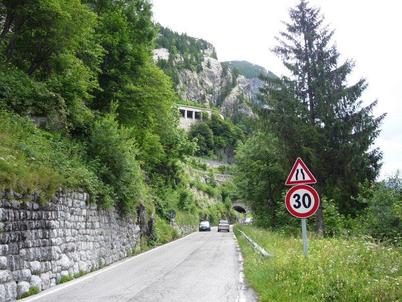 P1010832_resize.JPG