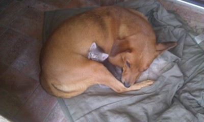 IMAG0415.jpg