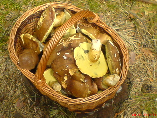 DSC04844.JPG