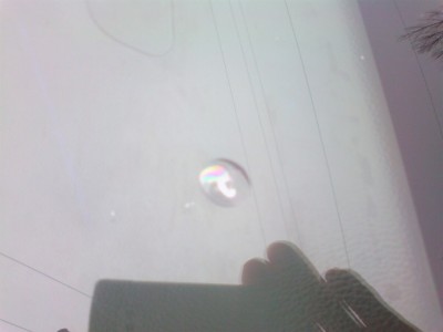 2013-01-08-0125_Q1.jpg