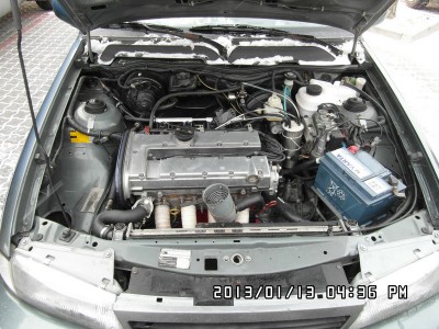 SAM_0165_resize.JPG