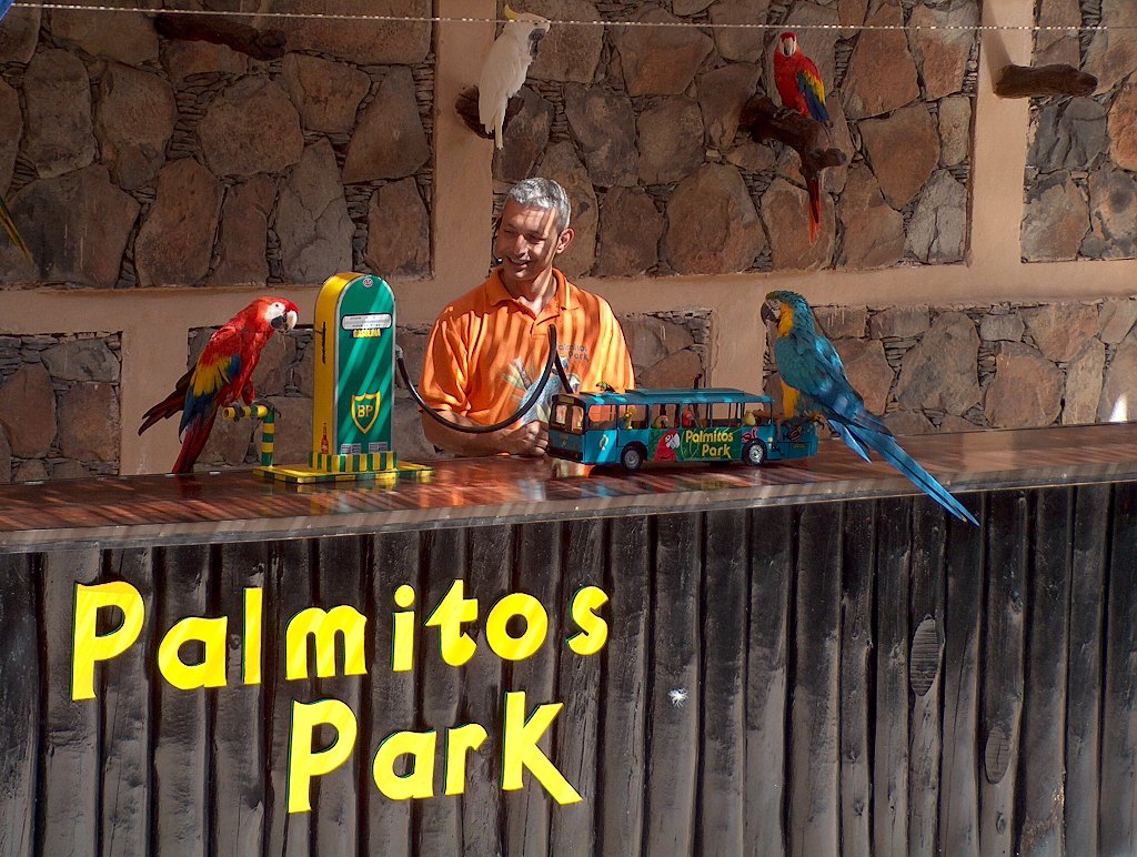 palmitos.jpg
