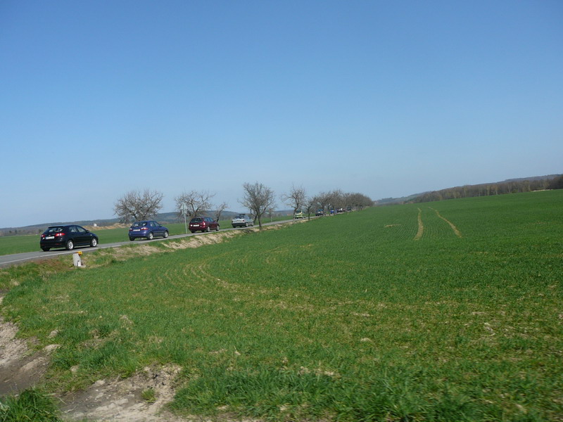 P1000513_resize.JPG