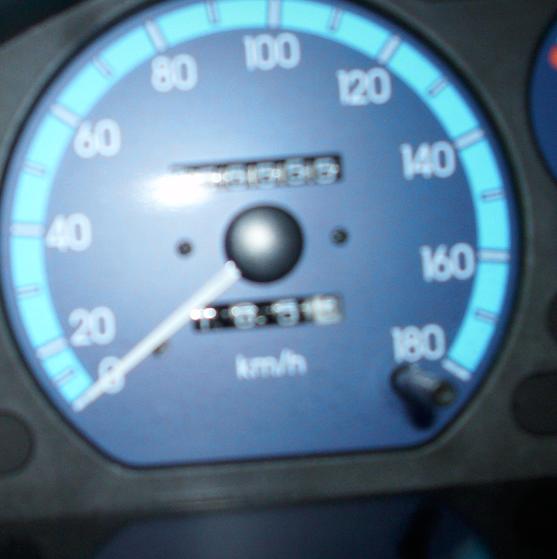 55555.JPG