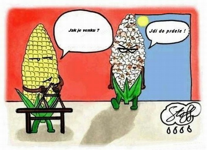 léto1.jpg