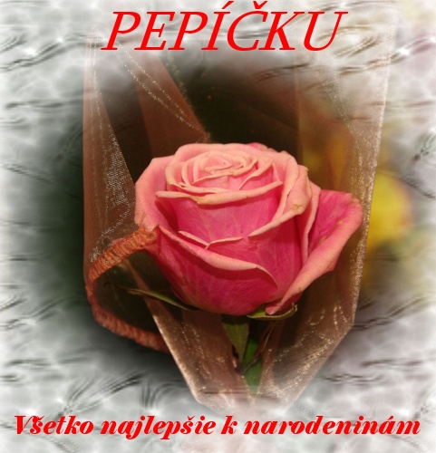 01_Kvety_01.jpg