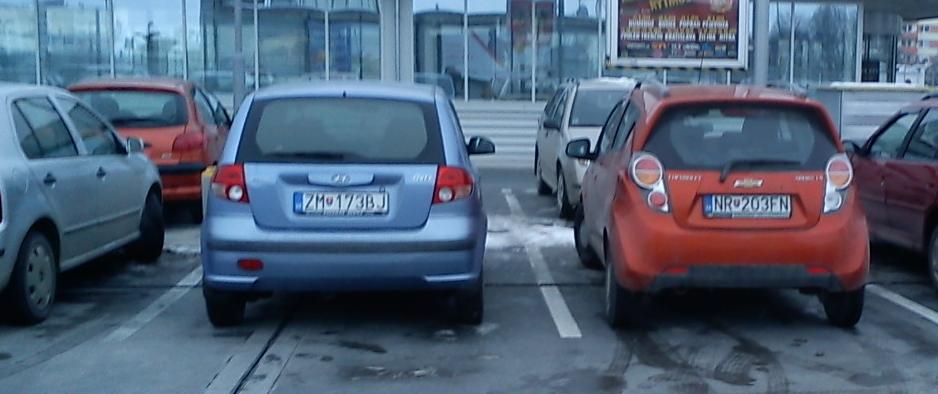 velrybak+sunkovec.JPG